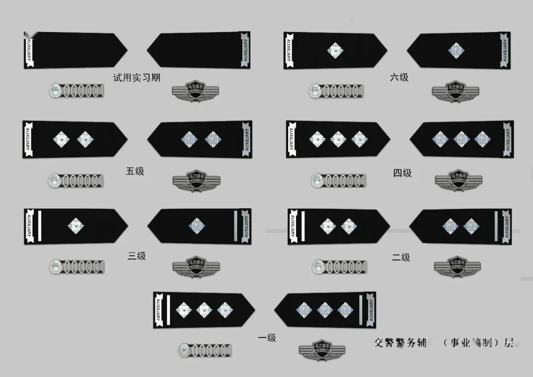 警衔最新版解读与探讨