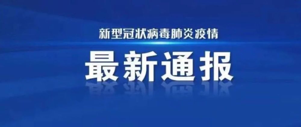 全球疫情最新通报公布，防控形势分析与应对策略深度探讨