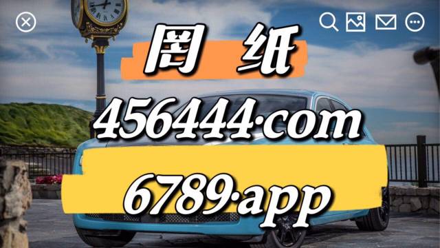 2024年10月17日 第50页