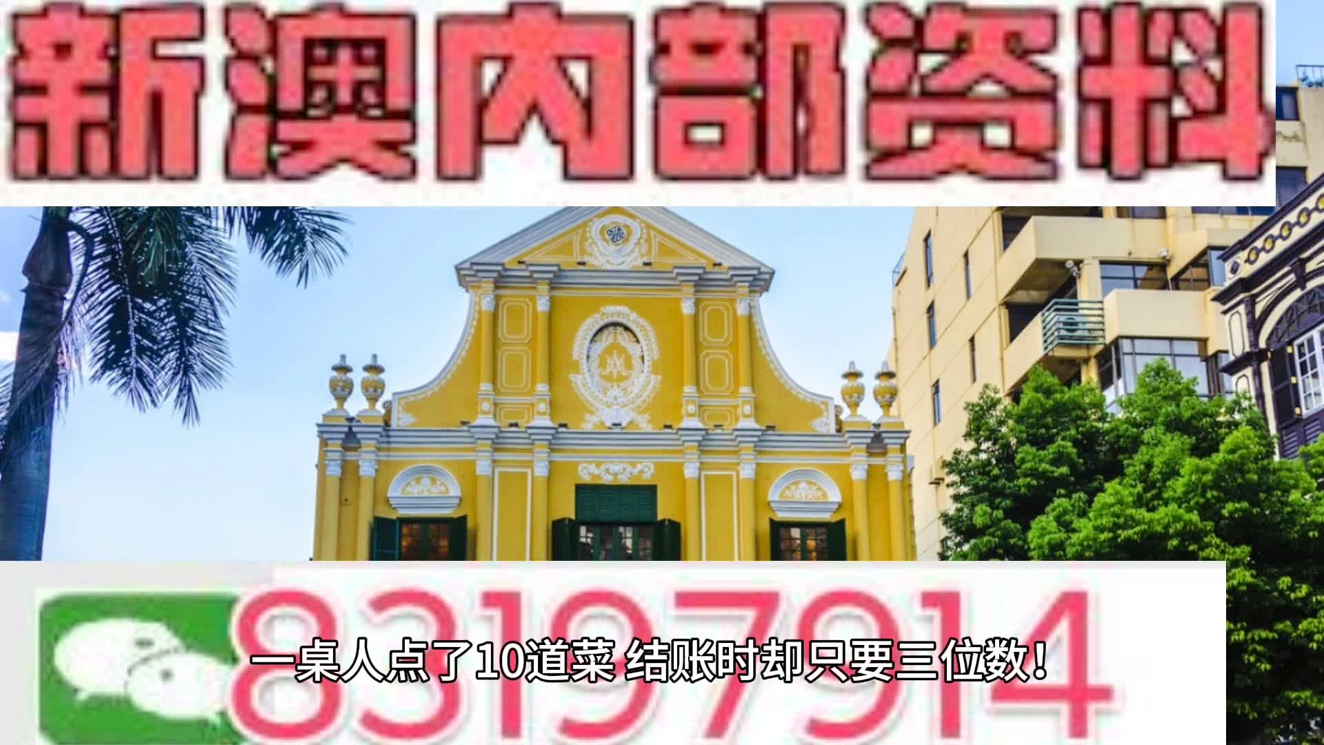 新澳精选资料免费提供,2024年澳门开奖结果，全面解答解释落实_VIP39.32.84