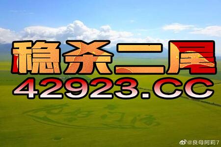 2024年10月17日 第30页