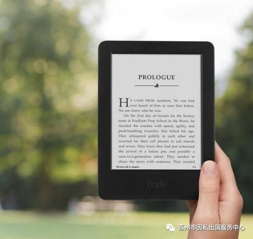 新澳历史开奖最新结果查询今天，实践验证解释定义_Kindle66.61.84