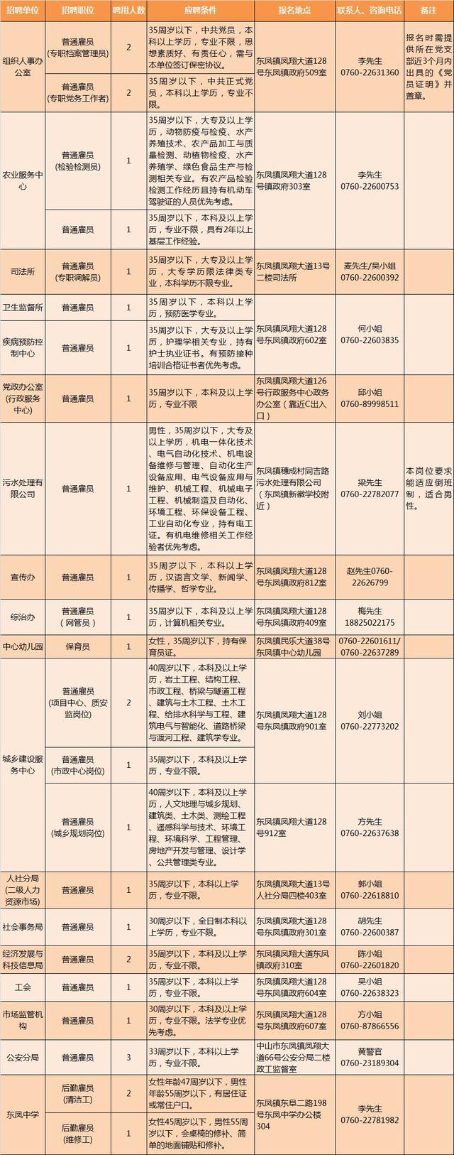 东凤招聘最新消息全面解析与动态更新