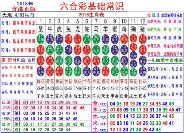 澳门正版资料大全资料生肖卡，最佳精选解释落实_V73.39.32