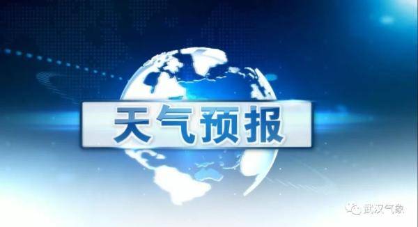 2024年10月20日 第82页