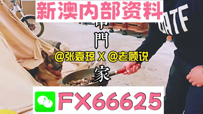 新澳门精准资料大全管家婆料,澳门精准资料指南更新版_精简版2.6