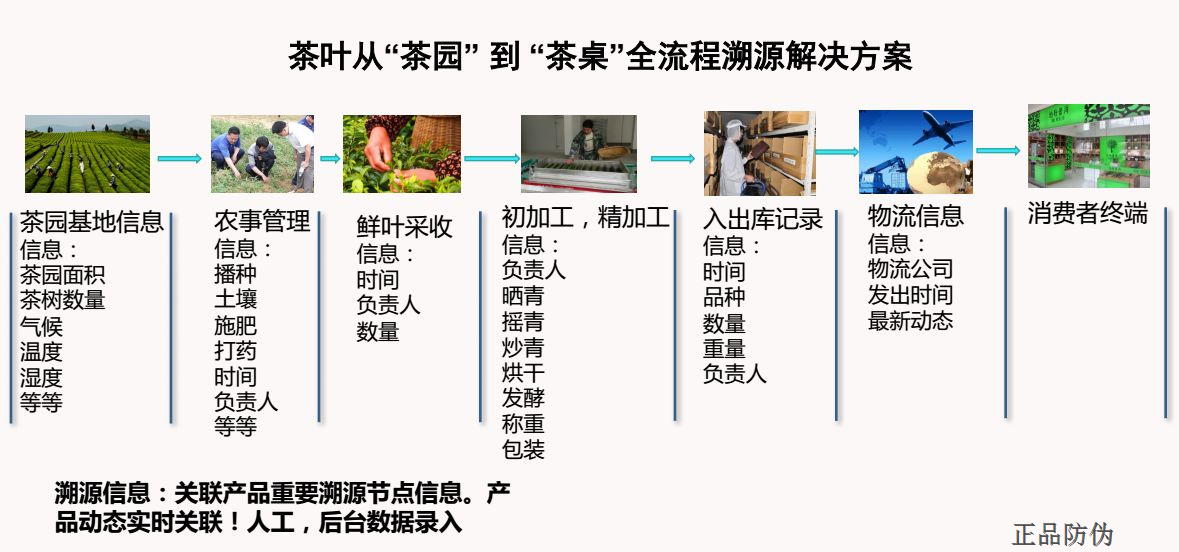 安全性方案解析：管家婆一码一肖一种大全_The85.7.67