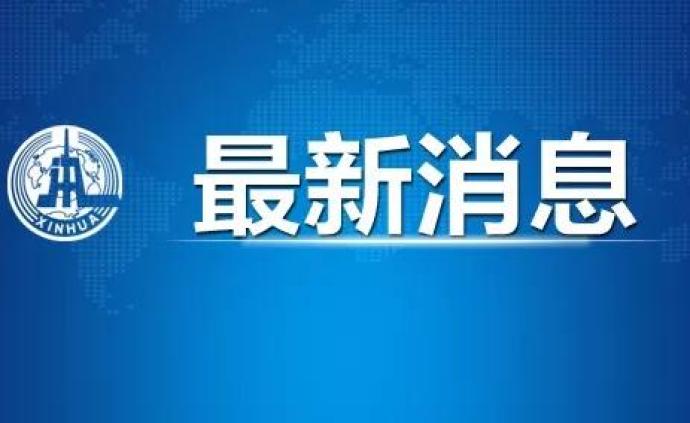 山东鲁易购合法性解析，最新观察与探讨