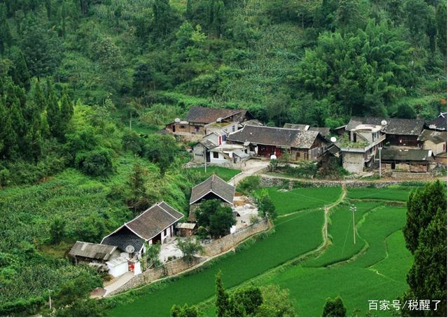 山村小岭主最新章节