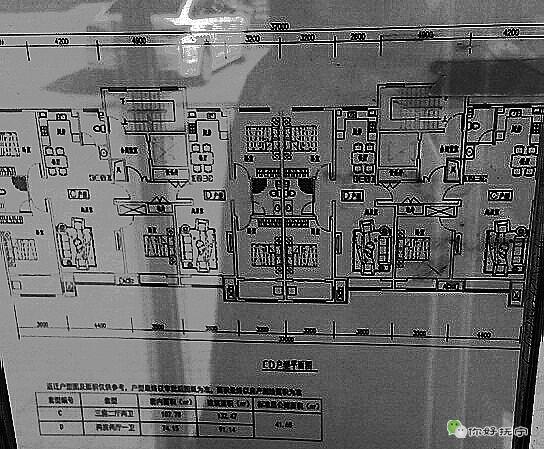 抚宁东街高层最新消息