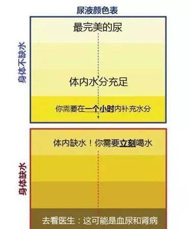 稳定设计解析策略：2004年澳门天天开好彩大全·移动版3.77