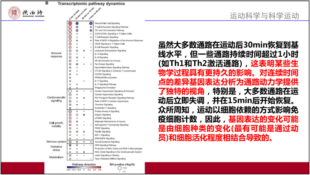 澳门资料大全正版资料2024年免费,详细解答解释落实_RX版79.044