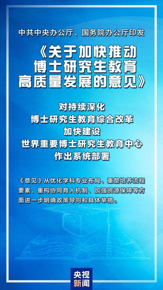 2024年10月25日 第43页