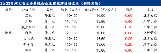 湖北最新生猪价格行情更新