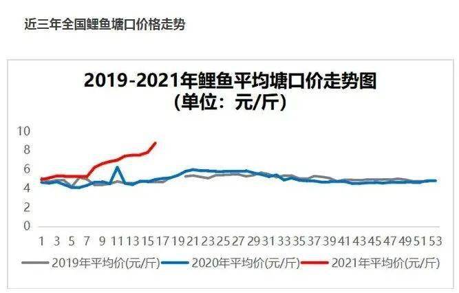 草鱼最新价格