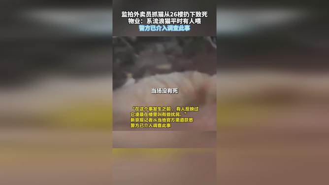 震惊！外卖员虐待猫咪事件曝光，从26楼扔猫引发警方调查