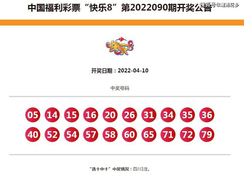 2024年新澳门今晚开奖结果2024年，数据分析驱动决策_专业款51.84