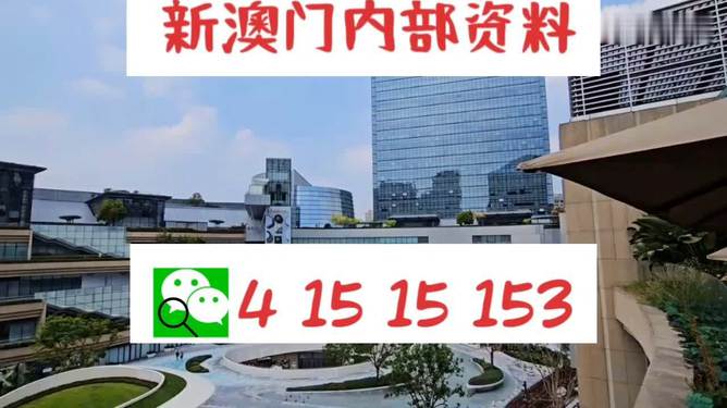 澳门最准的资料免费公开_国轩高科最新,实地计划验证策略_手游版91.82.53