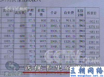 医保基金流失黑洞揭秘，守护百姓生命线刻不容缓