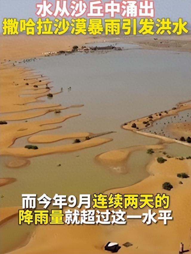 2024年新澳门今晚开奖结果_撒哈拉沙漠暴雨引发洪水,数据驱动计划解析_RX版97.51.86