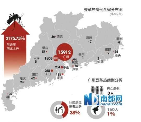 广东一周新增1770例登革热，疫情挑战下的公众应对