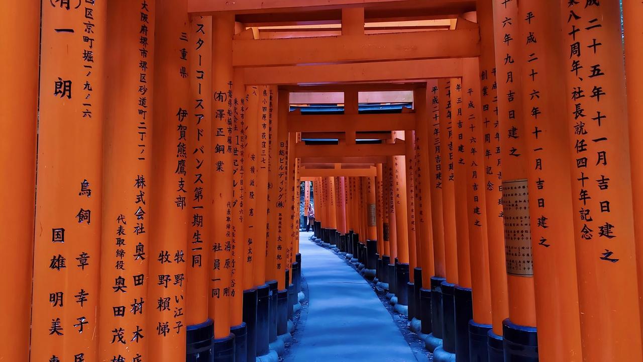 智利女网红在日本神社做引体向上