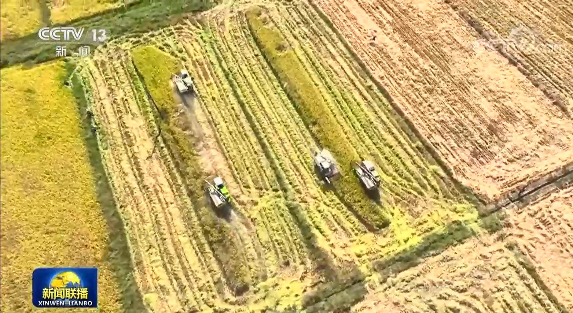 全国秋粮收获高峰，小巷里的秋收美食秘境