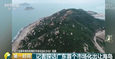 新澳门正牌挂牌之全篇,实地数据分析方案_智慧款3.032