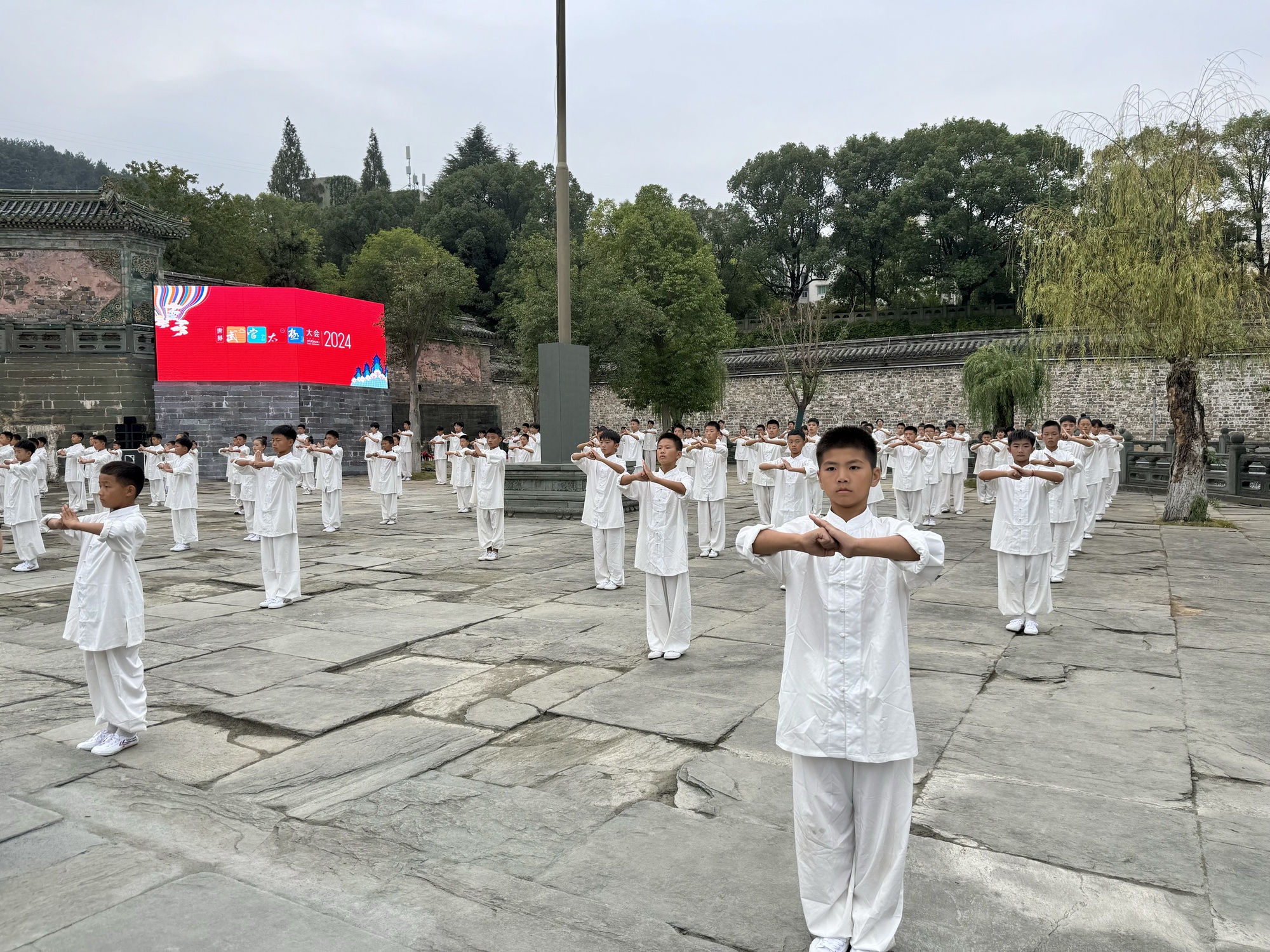 太极秘境探秘，世界武当太极大会侧记与小巷奇缘的启程