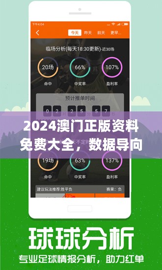 2024年澳门最新正版免费大全,全面执行计划数据_独特版33.205