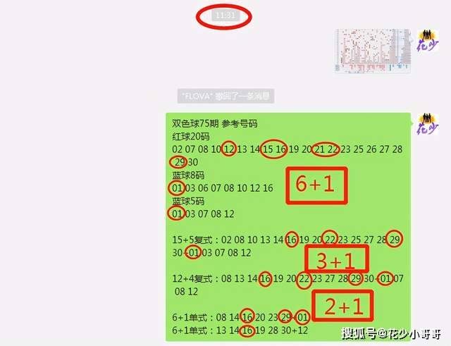 白小姐今晚特马期期准六,高效策略设计解析_专业款96.08