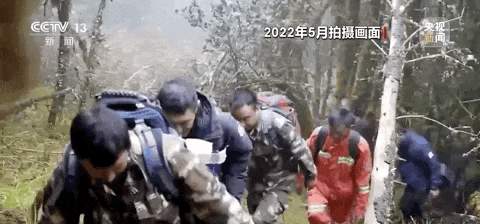 哀牢山神秘鸟鸣与科考之旅，鸟叫声如人类般婉转交流