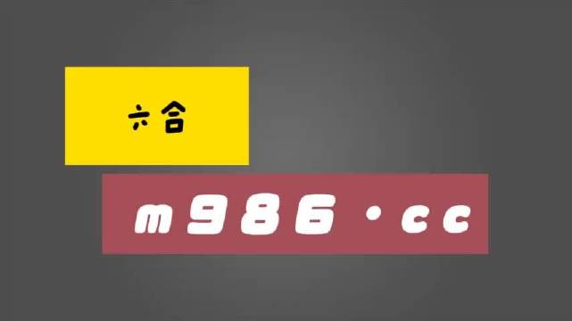 白小姐四肖四码100%准，决策资料解释落实_VIP61.37.11