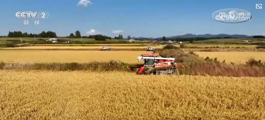 全国秋粮收获高峰，小巷里的秋收美食秘境