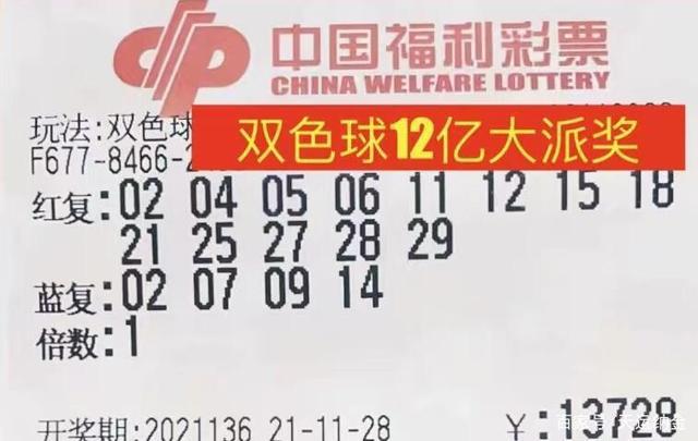 2024天天彩正版资料大全，最新核心解答落实_战略版98.38.97