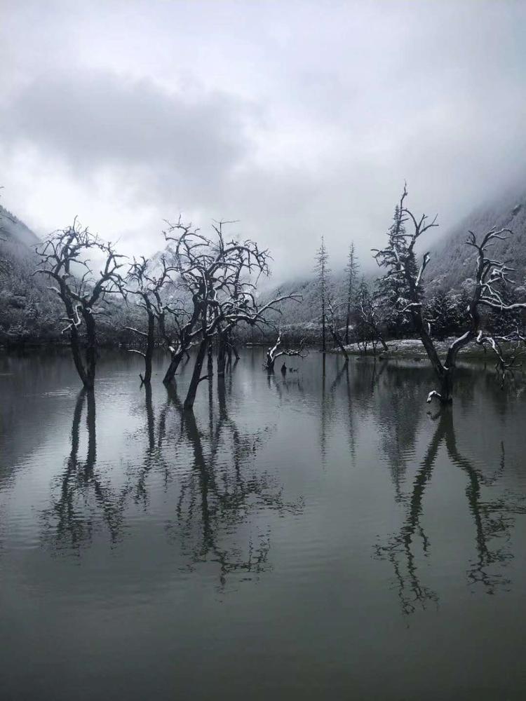 成都今年首场秋雪惊艳亮相，绝美风光一览无余！