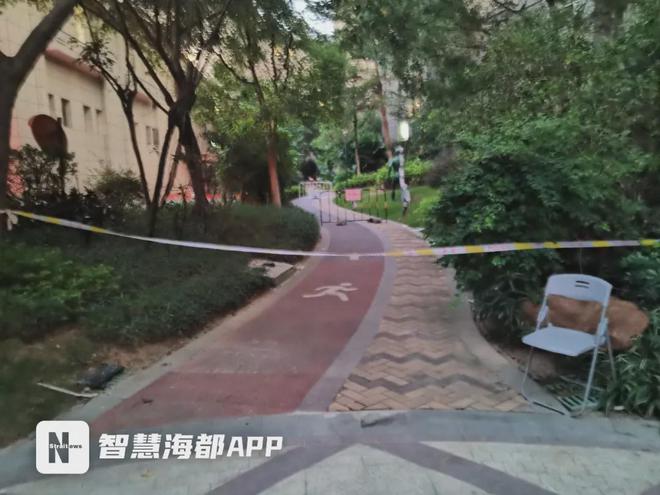 男孩小区地灯漏电身亡事件，父亲的发声，呼唤公正与安全关注