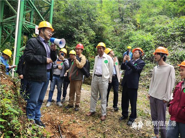 哀牢山神秘鸟鸣与科考之旅，鸟叫声如人类般婉转交流