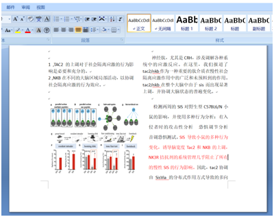 2020年新奥门免费資料大全,跨部门响应计划落实_薄荷版2.495