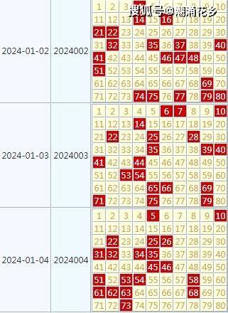 2024年正版免费天天开彩,实践解答解释定义_银行集71.466