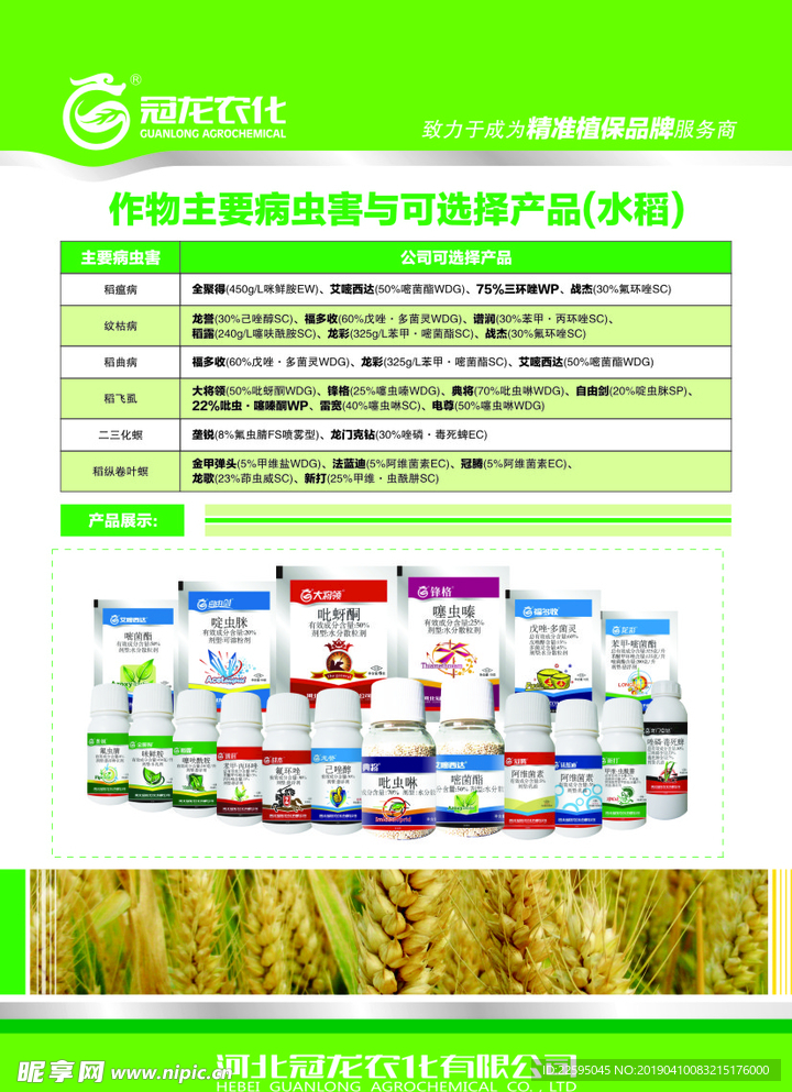 新奥天天彩免费资料大全,可靠性方案操作_极限版98.217