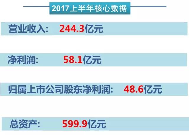 2024新澳特玛内部资料,重点解答现象探讨_精确款7.799