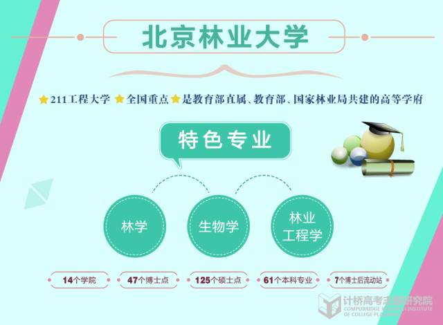 2024新奥门资料大全，科学化方案实施探讨_视频版66.73.37