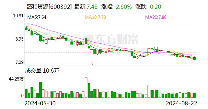 新奥天天免费资料大全，精细解析说明_8K83.10.22