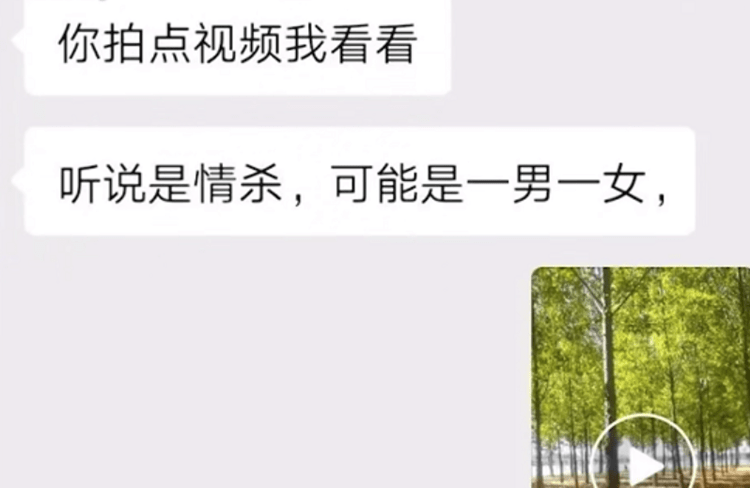 最新婚姻法引领科技重塑爱情与婚姻的未来