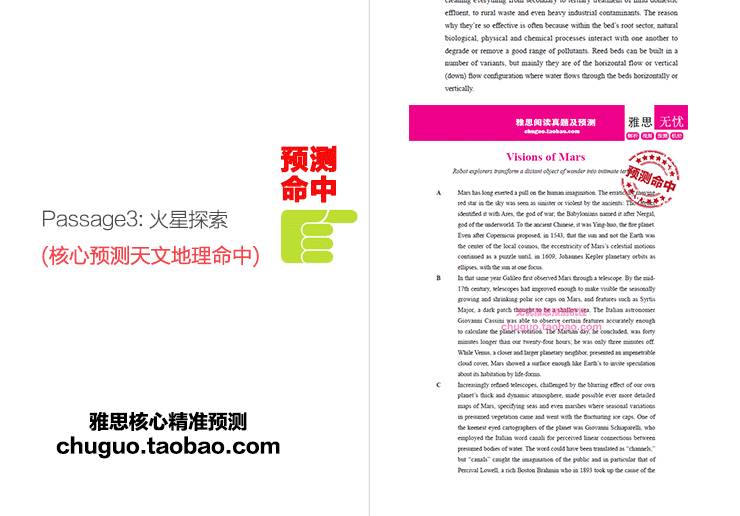 新澳门精准四肖期期中特公开,安全解析方案_自助版TAO261.74