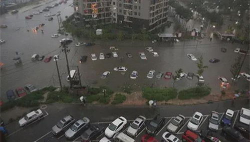 暴雨汛情辟谣揭秘，寻找内心平静的旅行冒险之旅