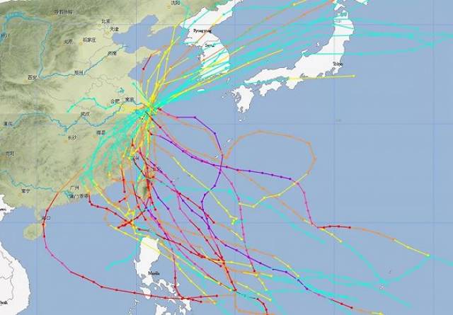 最新台风路径图背后的温馨家庭故事