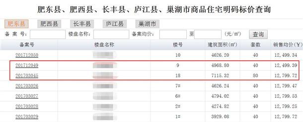 合肥二手房价格最新动态及最新价更新🏠💹