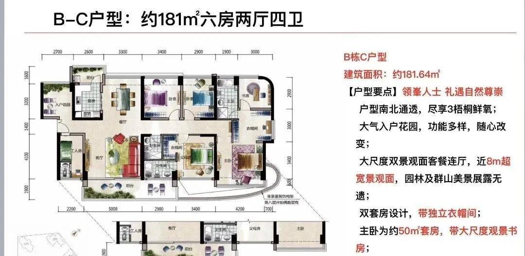 新奥彩资料特供版免费分享，动态素材方案详解_TEL105.39